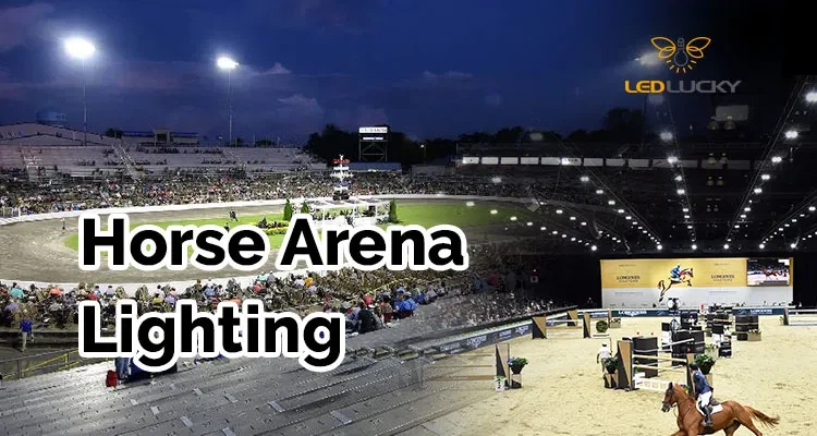 horse arena flood lights horse arena flood lights