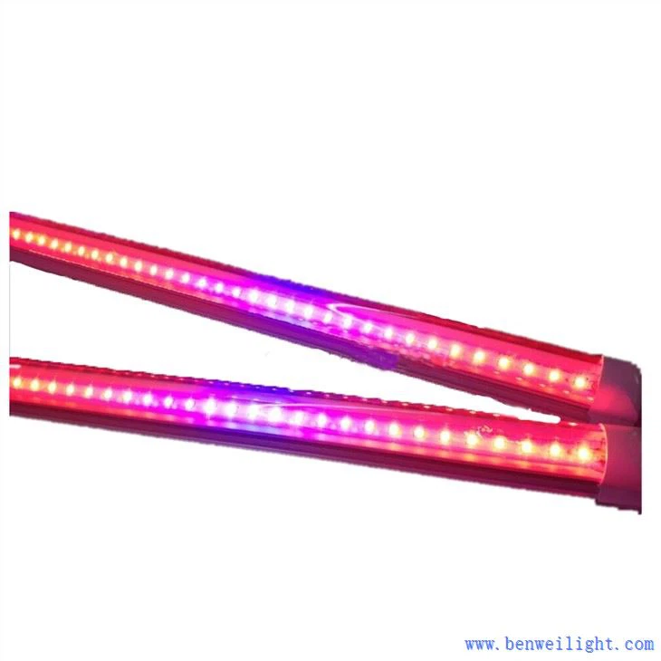 Har qanday yorug'lik o'sadigan yorug'lik sifatida ishlatilishi mumkin