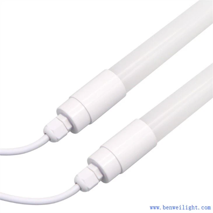 Tovuq uchun LED chiroq