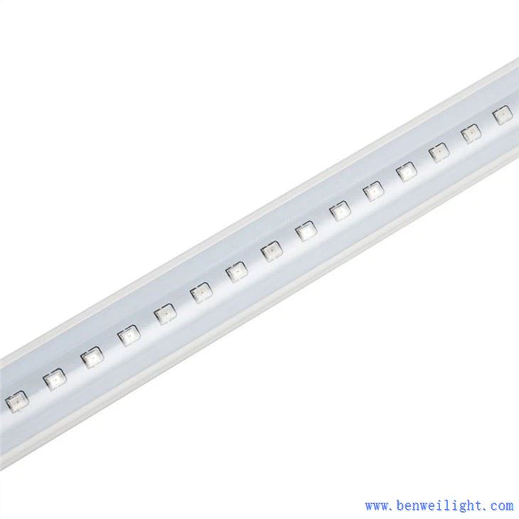 Tovuq uyi uchun Poltry Led lampochkalari