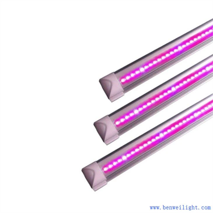 Grow Light Movers sotiladi