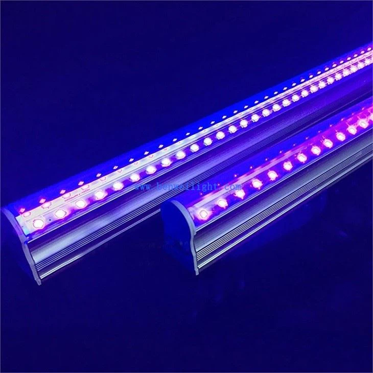 Fluorescent Black Light Tube