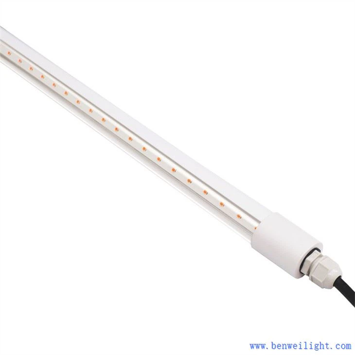 poultry solar light kit