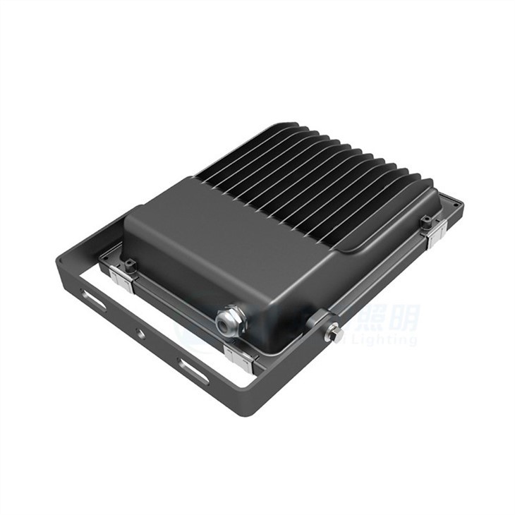 Led Flood Light With Emergency Backup