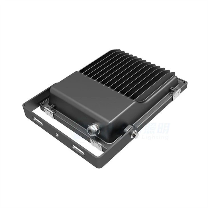Double Floodlight With Sensor