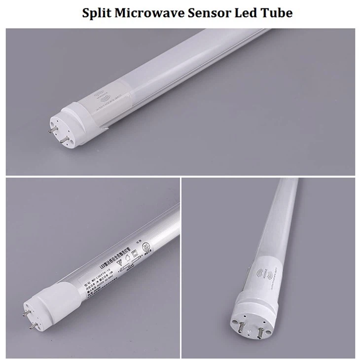 20 Vt o'lchamli mikroto'lqinli harakat sensori T8 LED tube nuri