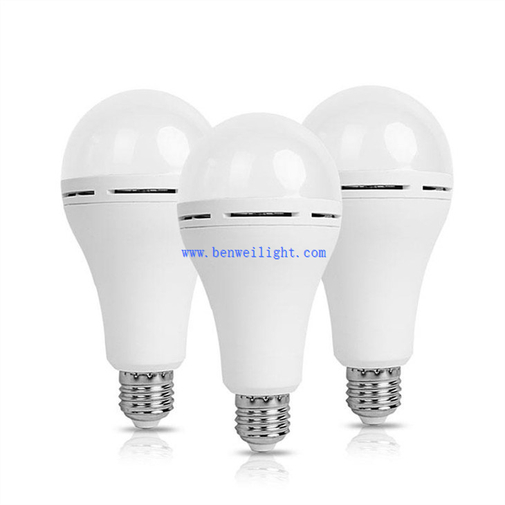 light bulbs with battery back up