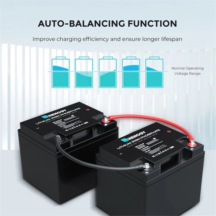 lithium iron phosphate battery 24 volt3
