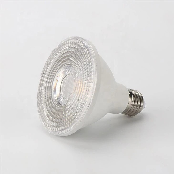 PAR30 Short Neck Light Bulb