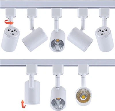 CCT sozlanishi 30W LED yo'l yoritgichi