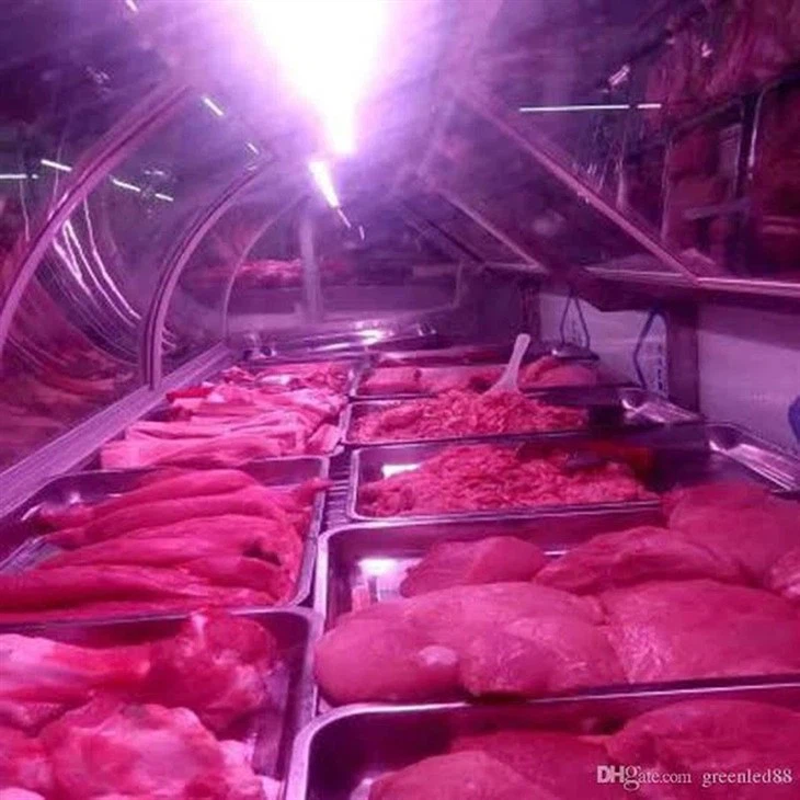 T8 LED Pink (Butcher) Tube Light 3