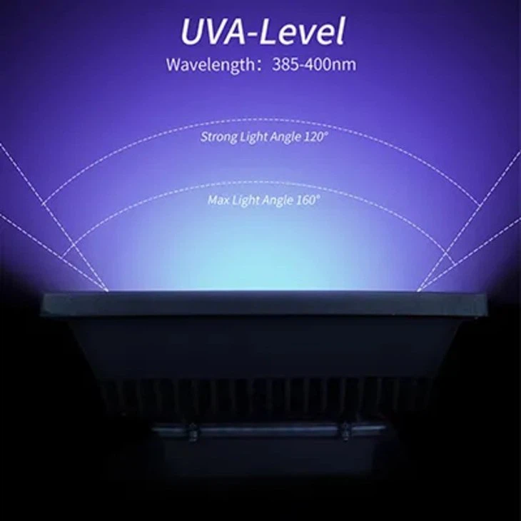UV LED black light 2