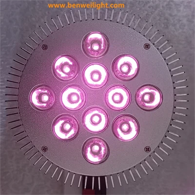 InfraGlow Red & Infrared Light Therapy best