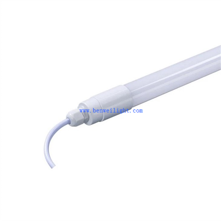 Cattle Lamp (1)
