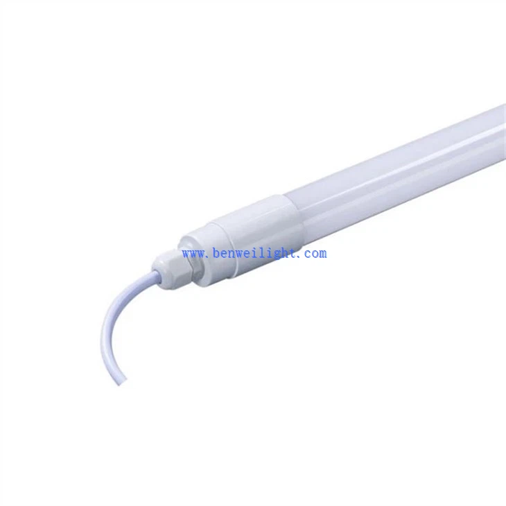Cattle Rearing Light (2)