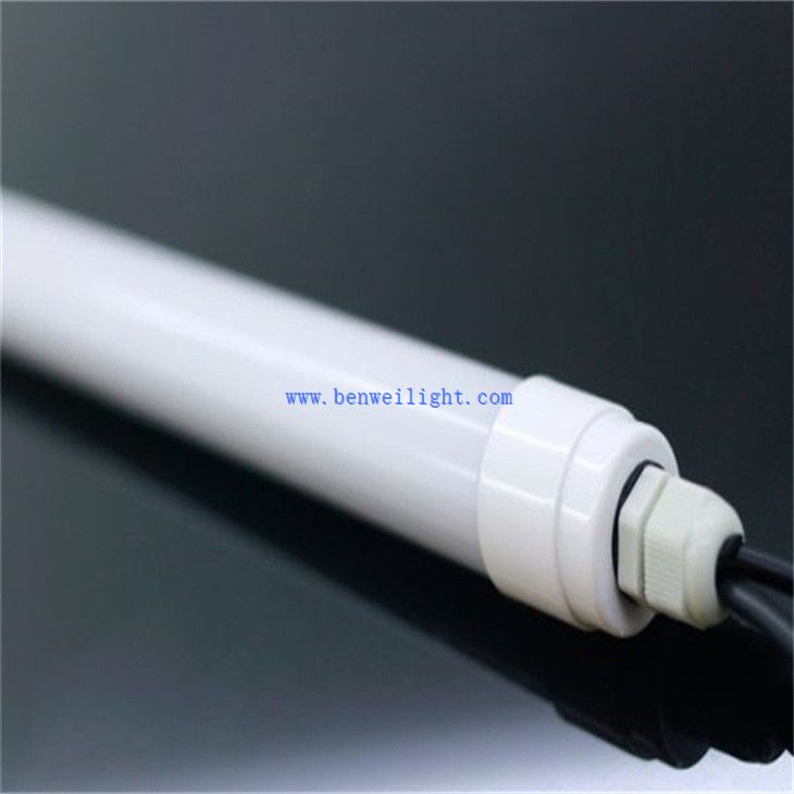 Dairy Farm LED Light (2)
