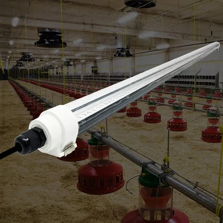 Dimmable T10 tovuq fermasi yoritgichi