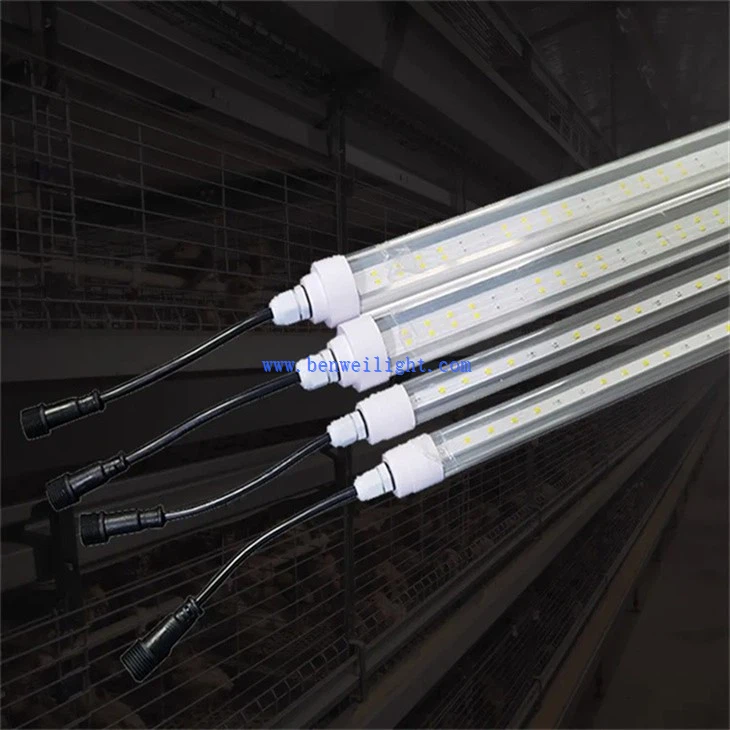 Homestead Poultry Lighting (2)