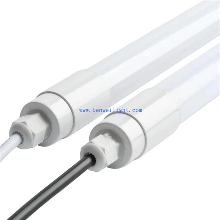 Livestock Facility Lamps (4)