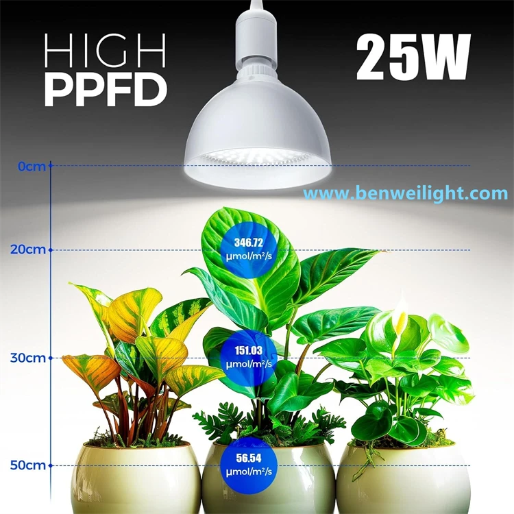 product-750-750