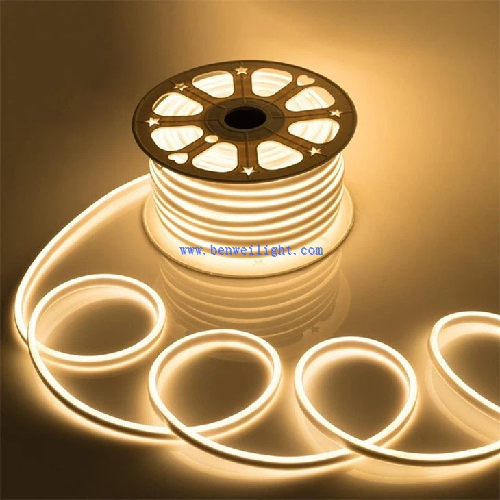 Silicone Bendable Neon LED Strip Light (1)