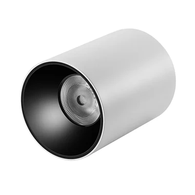IP65 Sirtga o'rnatilgan silindrli Spotlight Tijorat Yopiq Shift Yoritgichi|8W-45W